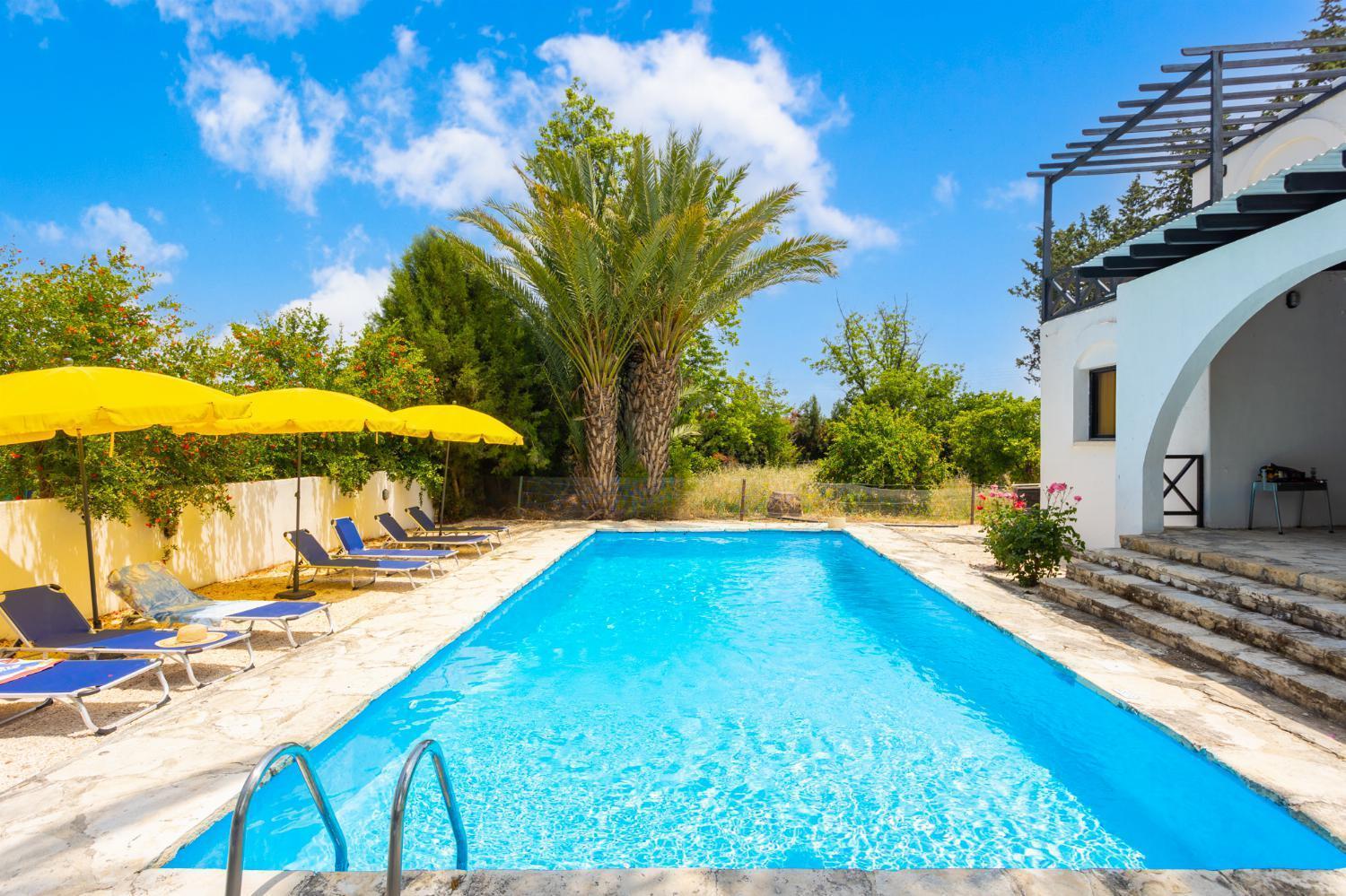 Villa Anemone Polis Exterior photo